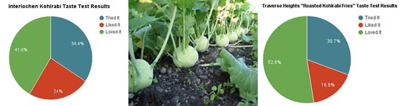 IN-TH-Kohlrabi-Test-Banner