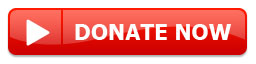 Donate-Now-Button