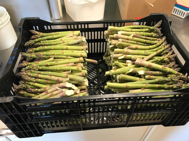 fresh asparagus delivered from Norconk Farms and to be served for school lunch