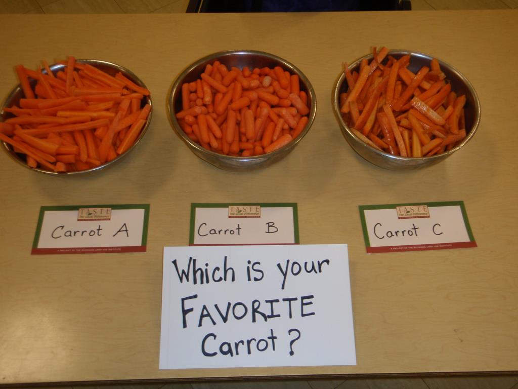 Carrot Taste Test Photo