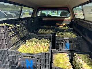 Back of truck full of asparagus