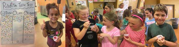 Long Lake students taste test radishes