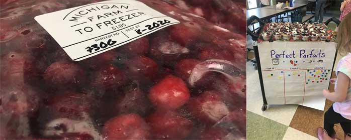 Farm to Freezer Fruit and Perfect Partfait Samples