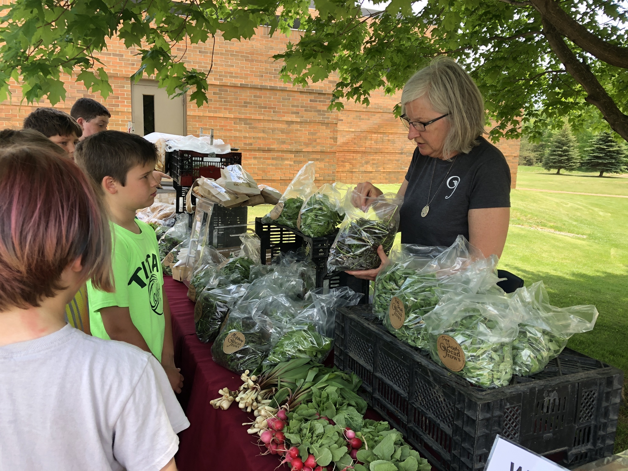 westwoods students looking at lettuce at farmer's market